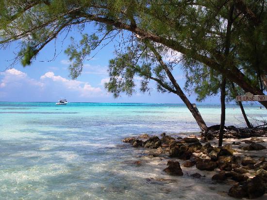 Lua de Mel - Ilhas Cayman - Foto #3110
