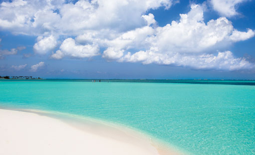 Lua de Mel - Ilhas Cayman - Foto #3115